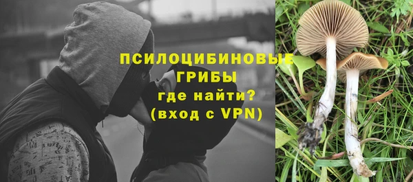 гашик Вязьма