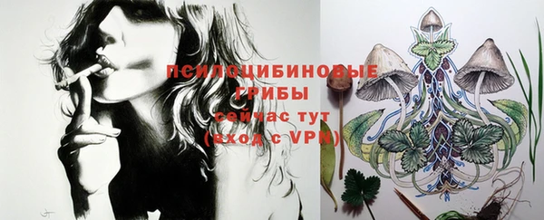 экстази Вяземский